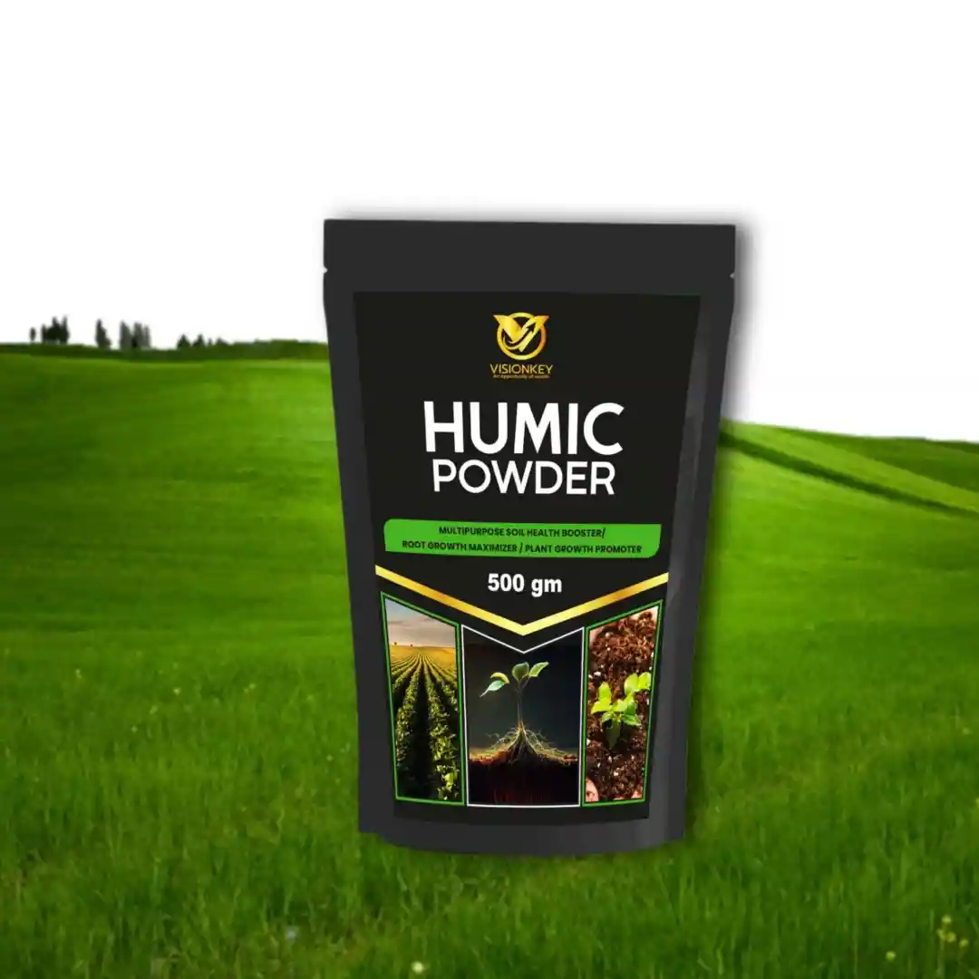 product back
